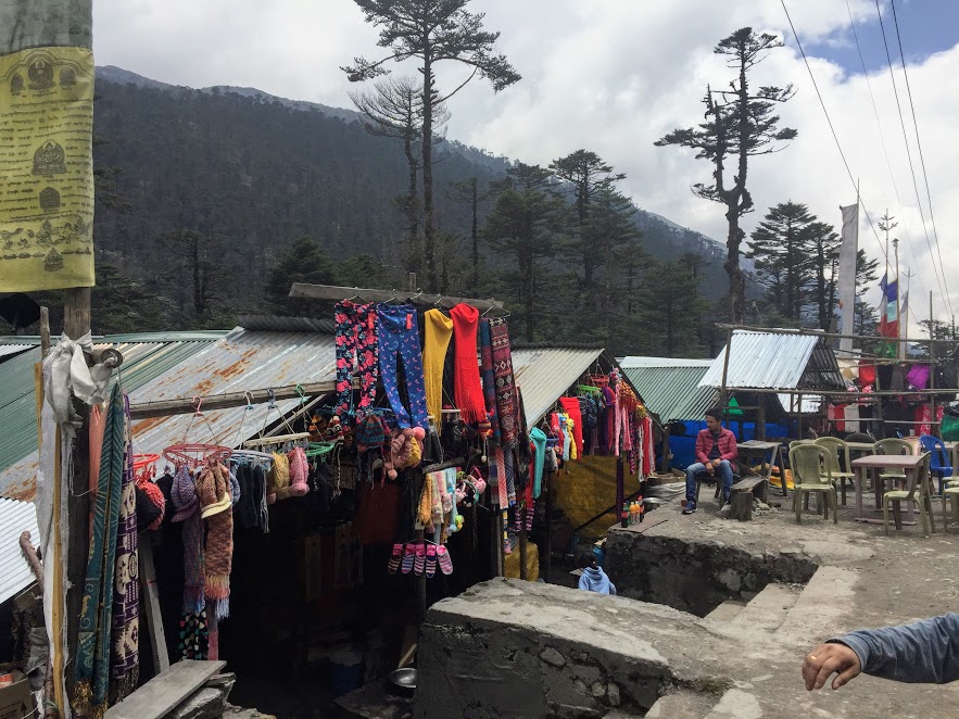 The small local market in Yumthang
